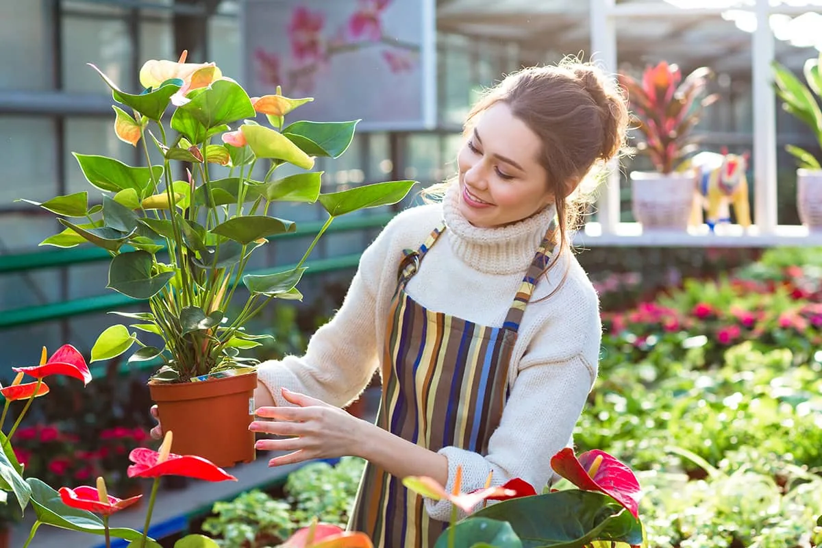 Gardening Course: Master Plant Care with  Nexagrid 